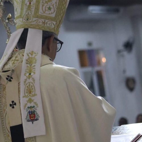 WhatsApp Image 2026-02-20 at 16.22.45