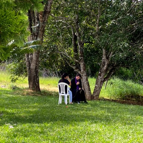 WhatsApp Image 2026-02-20 at 16.25.47