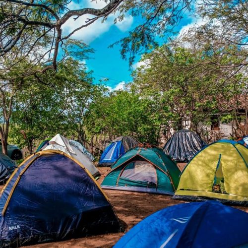 WhatsApp Image 2026-02-22 at 12.24.57 (3)