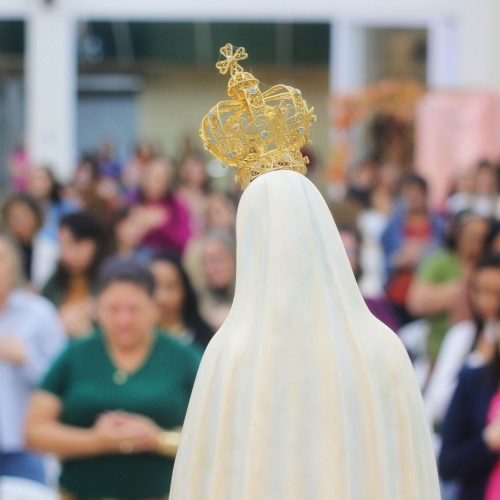 WhatsApp Image 2026-03-04 at 14.40.13