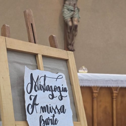 WhatsApp Image 2026-03-20 at 14.56.06 (1)